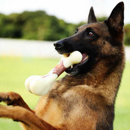 ThePetHubStore™ Dog Chew Toys for Aggressive Chewers